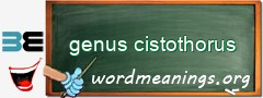 WordMeaning blackboard for genus cistothorus
